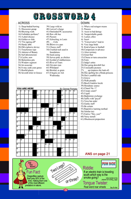 Crossword Puzzle 4