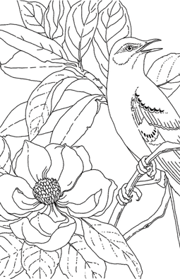 Coloring page bird on a branch