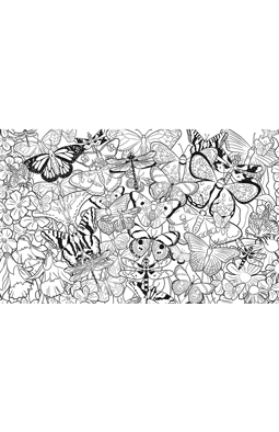 Coloring page butterfly Design