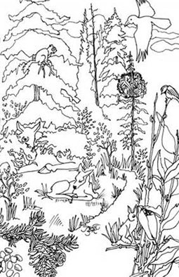 Coloring page Nature scenary